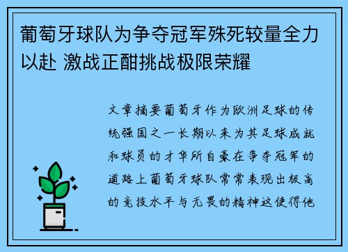 葡萄牙球队为争夺冠军殊死较量全力以赴 激战正酣挑战极限荣耀