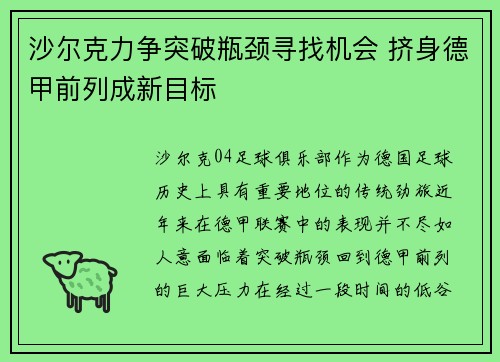 沙尔克力争突破瓶颈寻找机会 挤身德甲前列成新目标