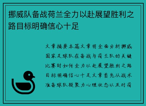 挪威队备战荷兰全力以赴展望胜利之路目标明确信心十足