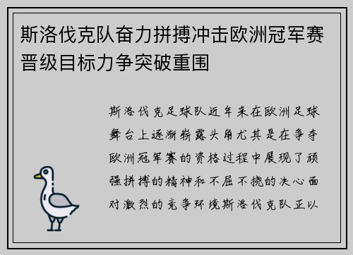 斯洛伐克队奋力拼搏冲击欧洲冠军赛晋级目标力争突破重围